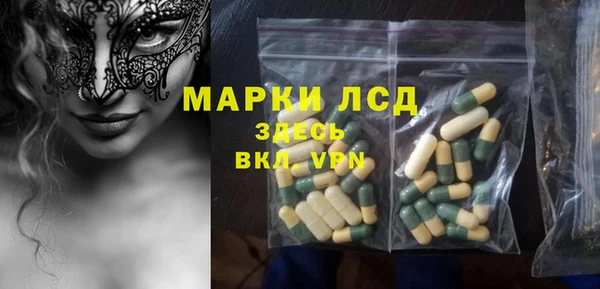 стаф Беломорск