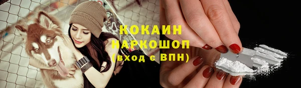 стафф Белокуриха