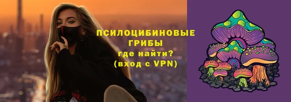 стаф Беломорск