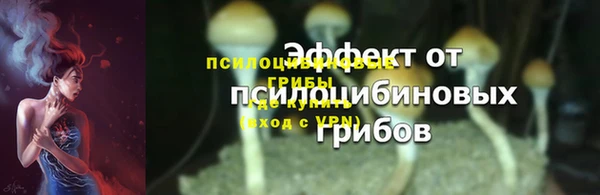 стафф Белокуриха